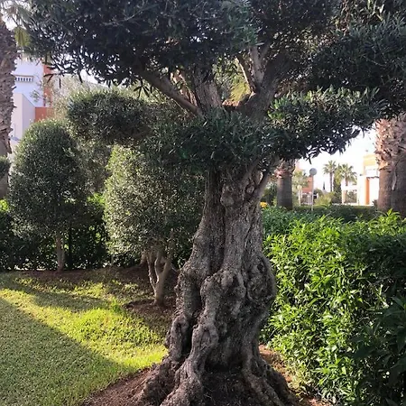 Natura Apartamento Los Olivos *